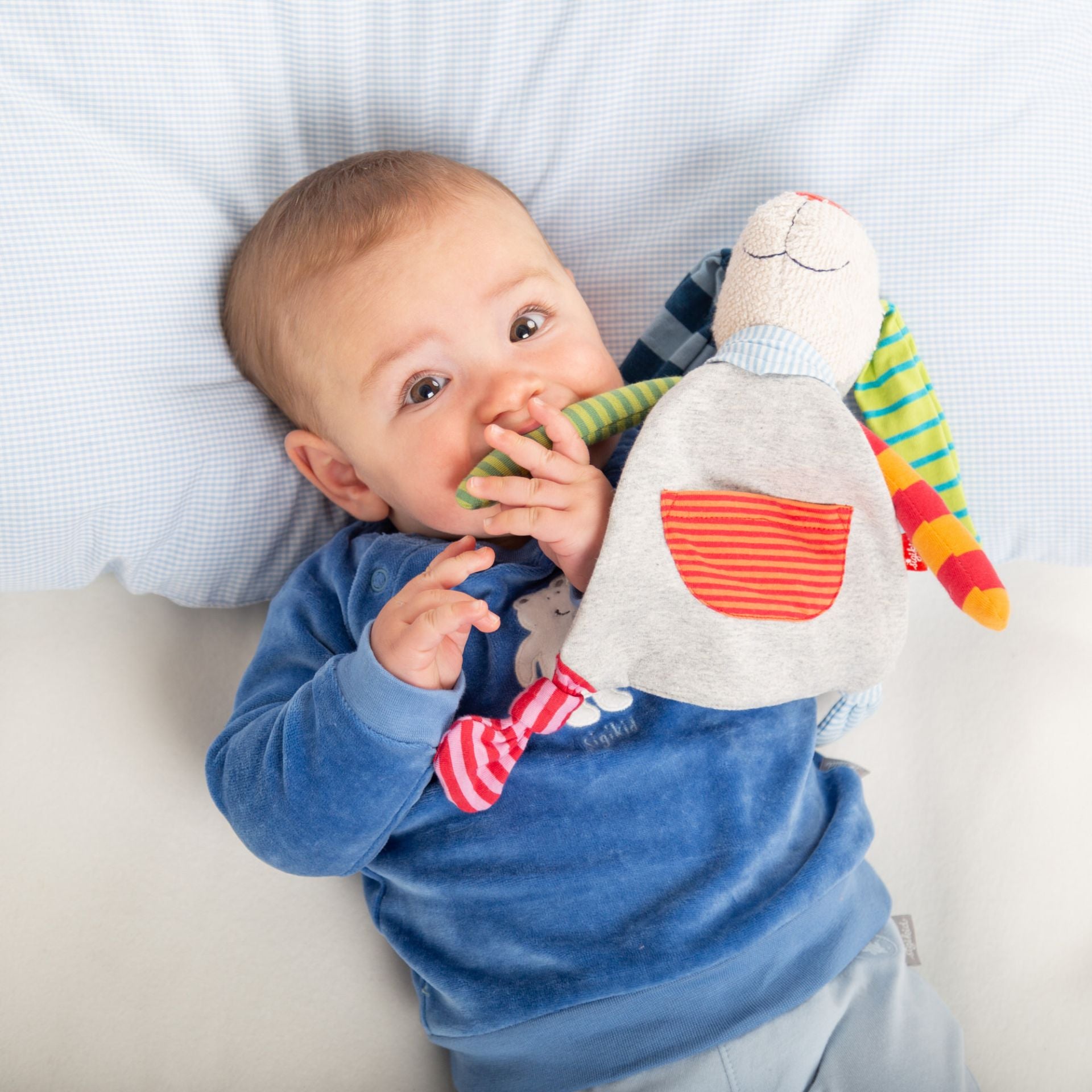 Doudou coniglio colorato Sigikid