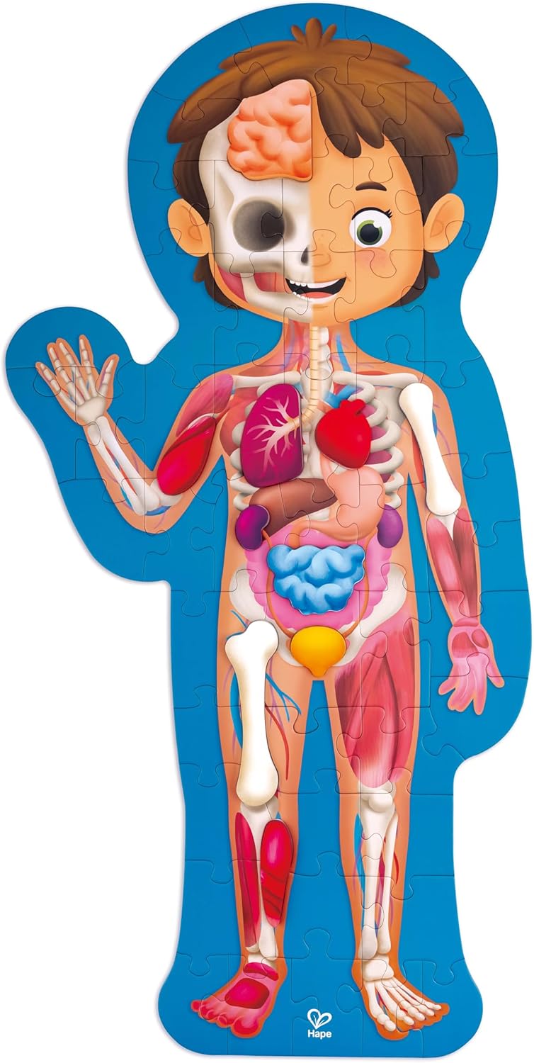 Puzzle corpo umano Hape