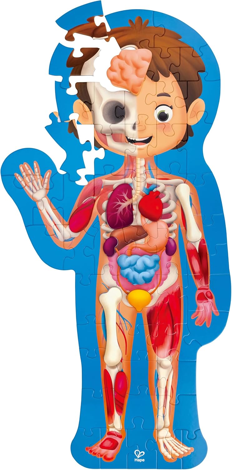 Puzzle corpo umano Hape