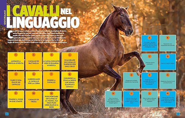 A ciascuno il suo cavallo! La guida più divertente per scoprire tutto sui cavalli