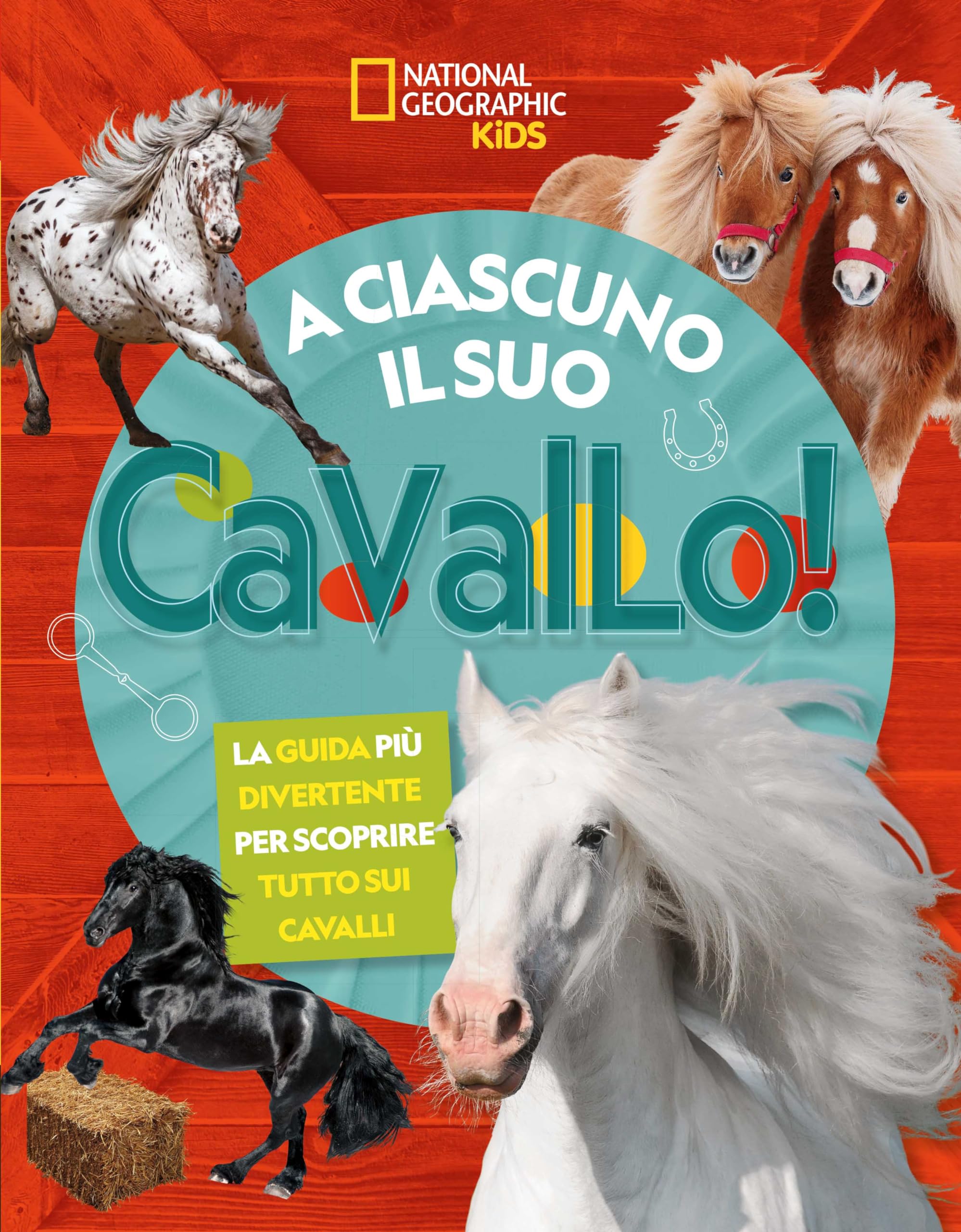 A ciascuno il suo cavallo! La guida più divertente per scoprire tutto sui cavalli