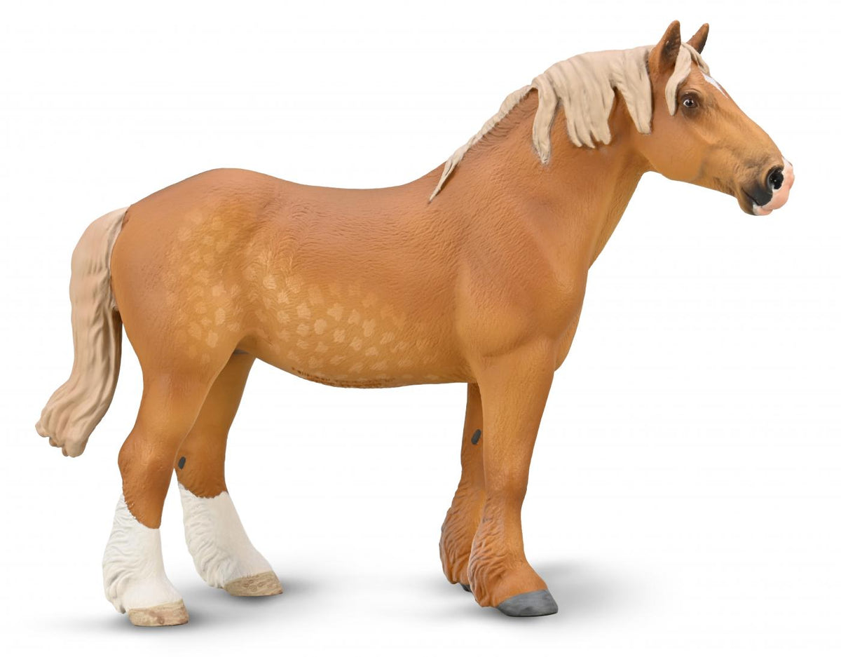 Cavallo Belgian Mare Sorrel - XL Collecta