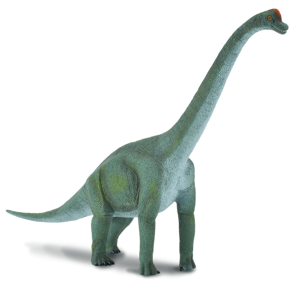 Brachiosauro - L Collecta