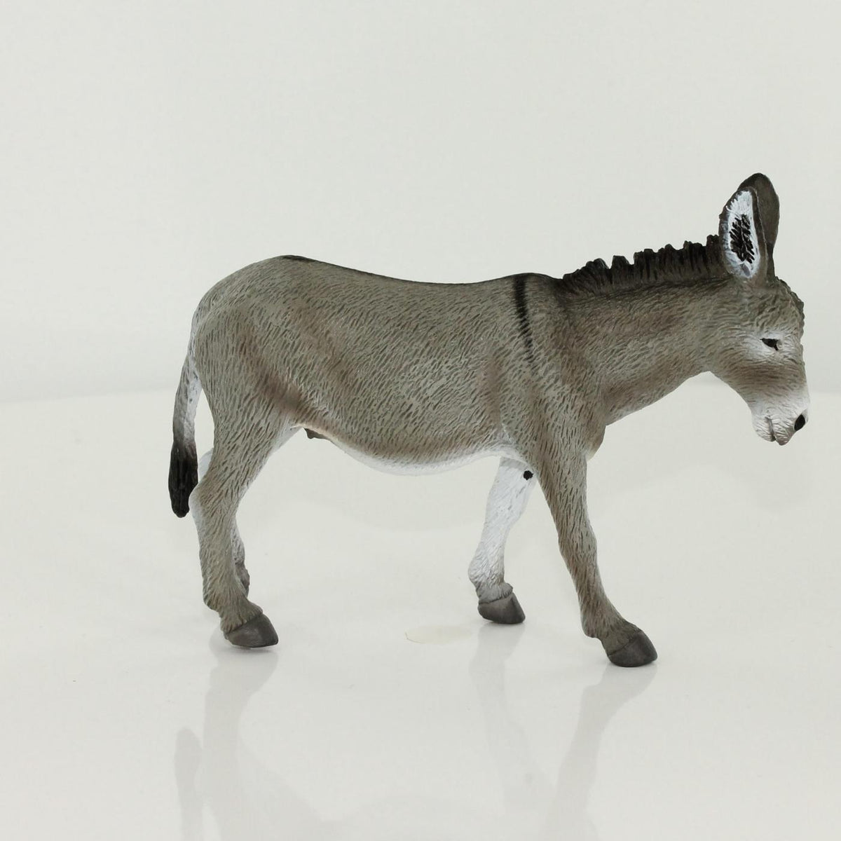 Asino - L Collecta