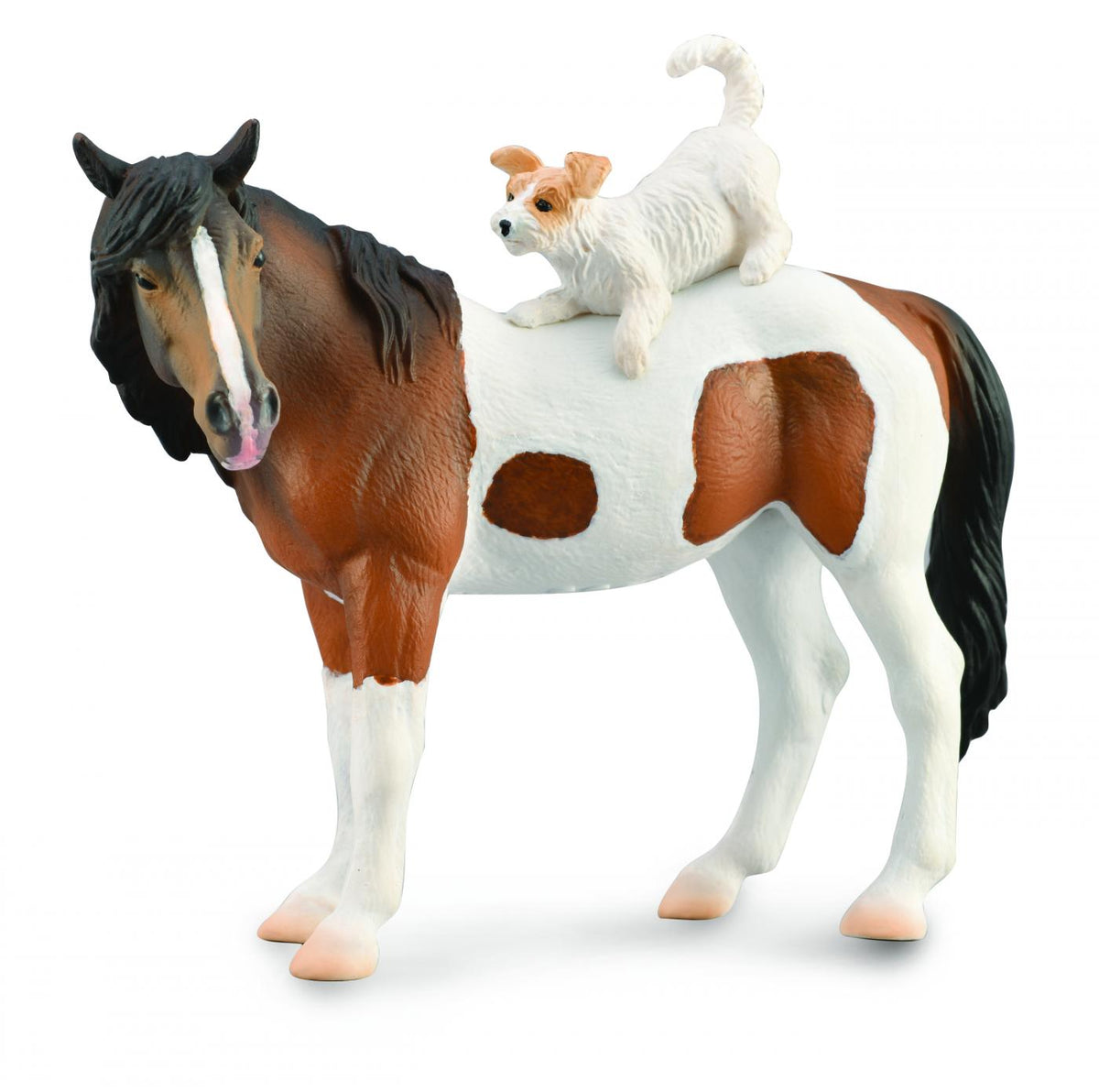 Cavallo razza Mare & cane Terrier - XL Collecta