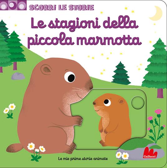 Immagine di prova