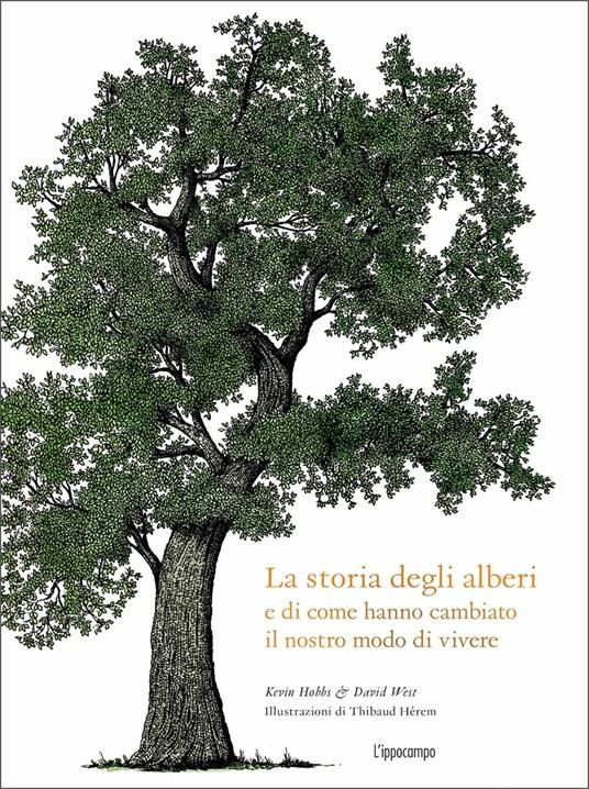 Immagine di prova
