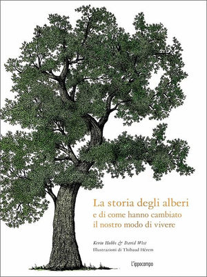 Immagine di prova