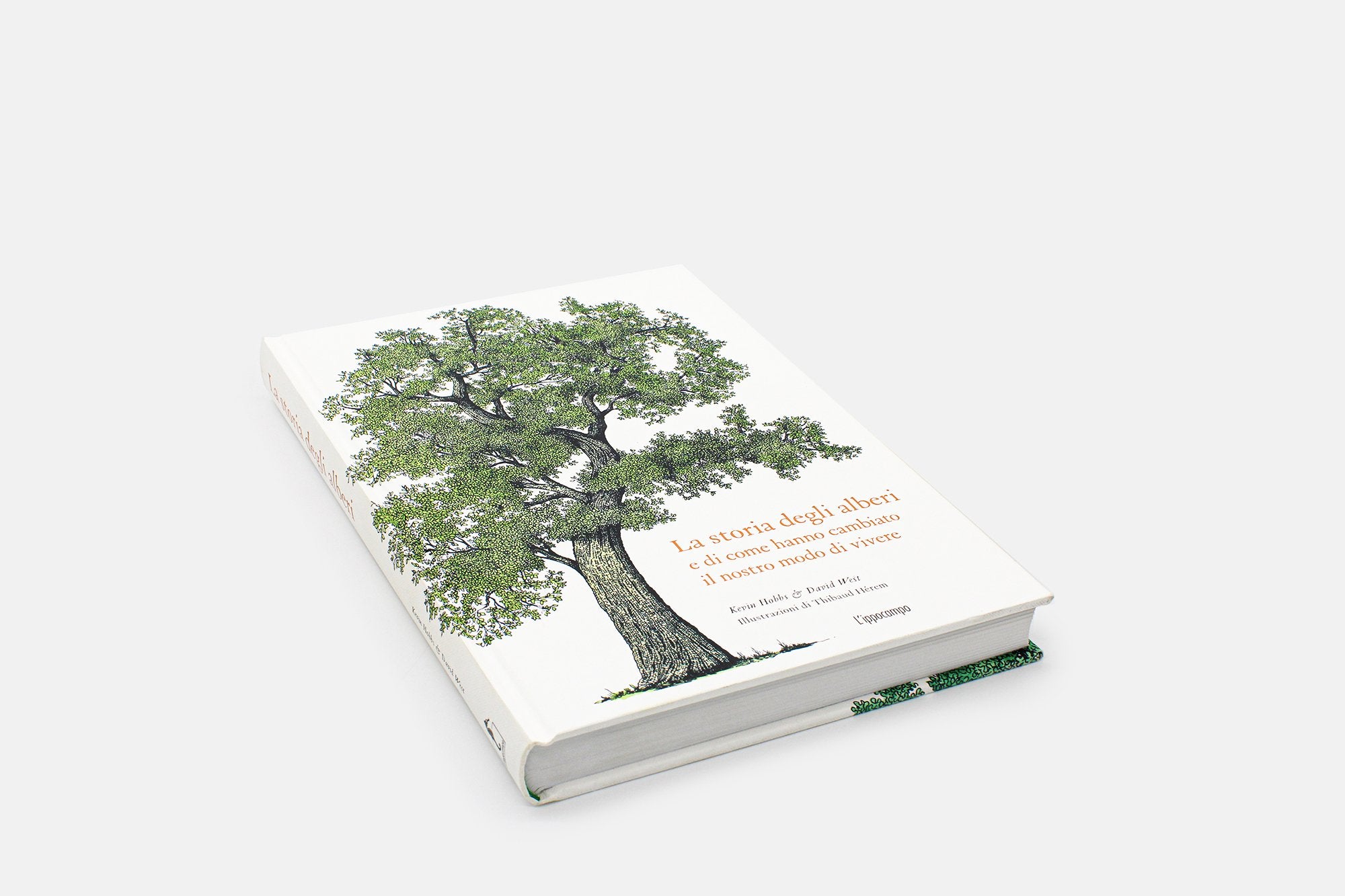 Storia degli alberi e di come hanno cambiato il nostro modo di vivere